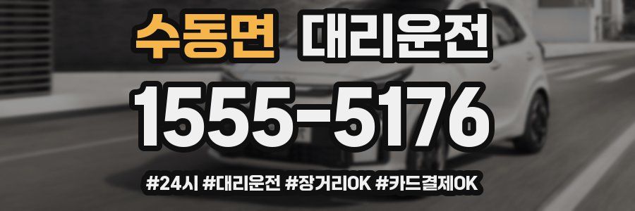 수동면 대리운전