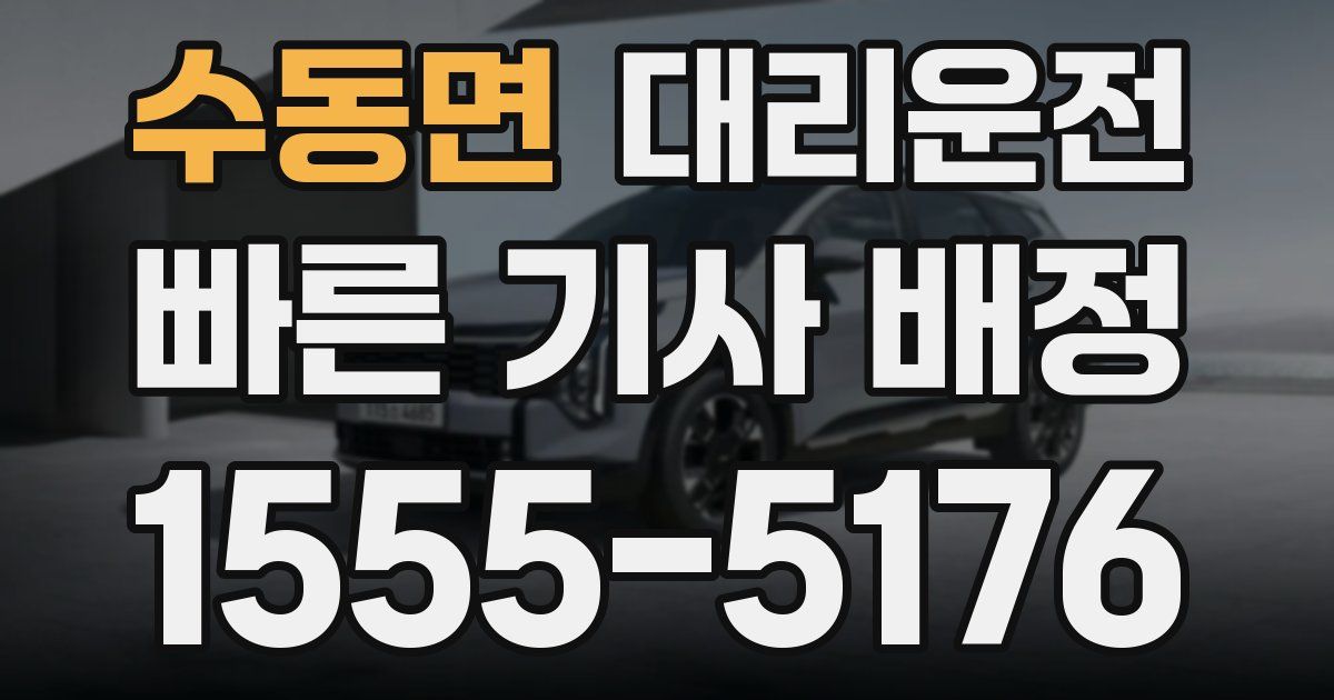 일일대리기사