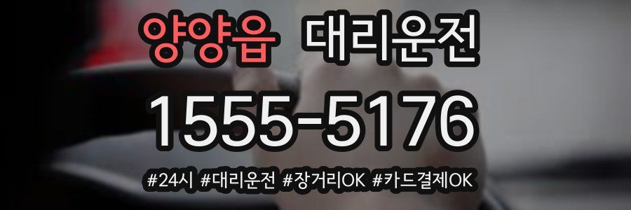 양양읍 대리운전
