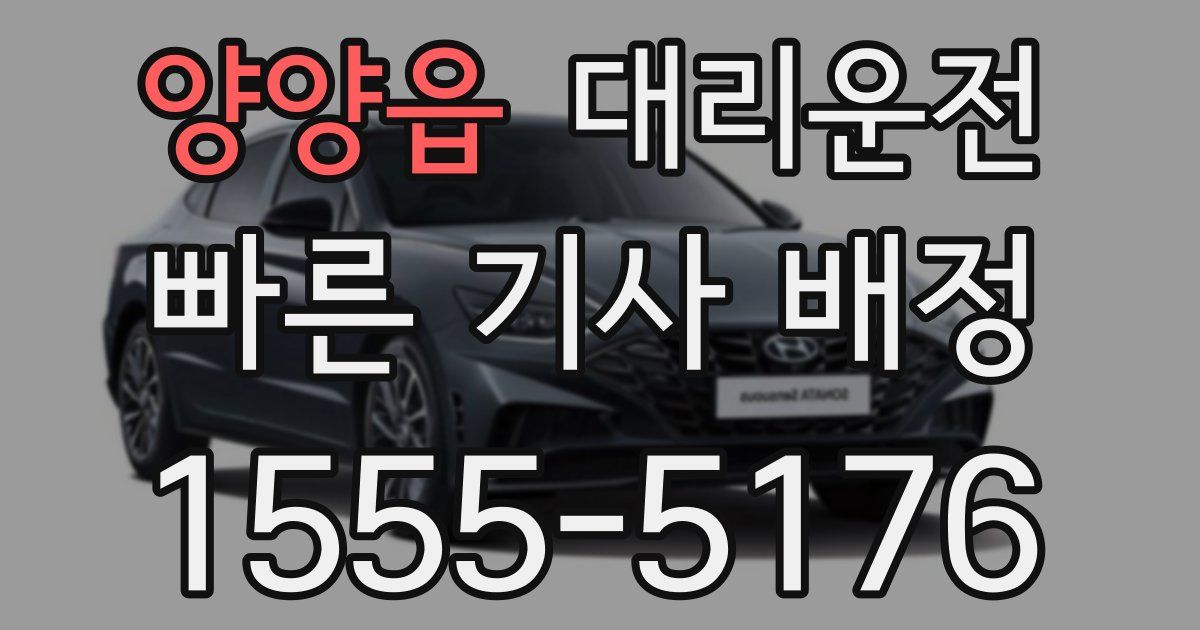 일일대리기사