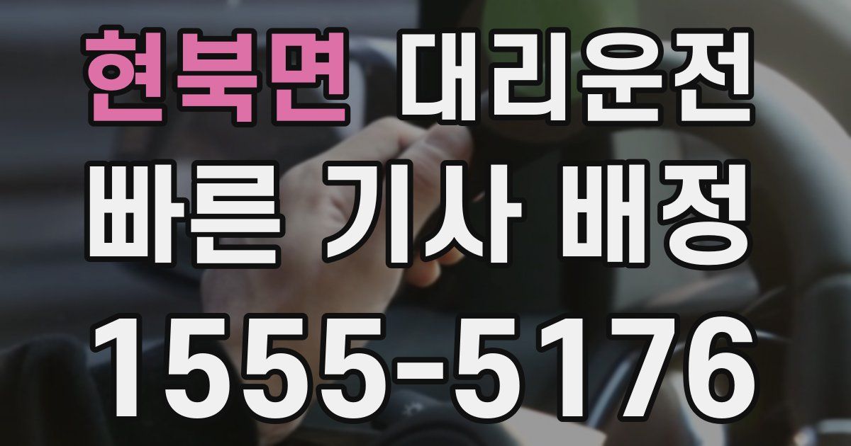 일일대리기사