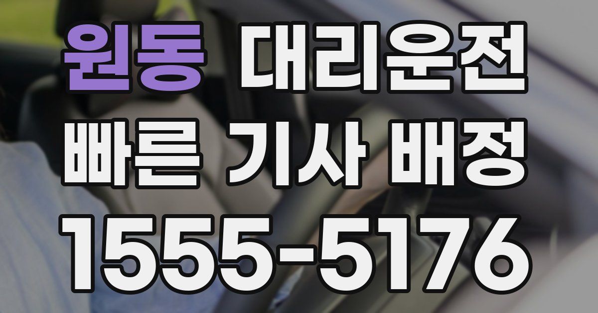일일대리기사