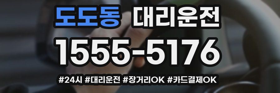 도도동 대리운전