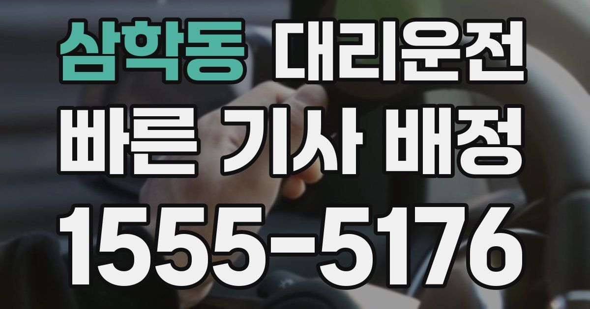 일일대리기사