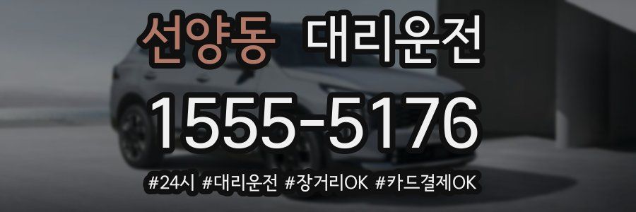 선양동 대리운전