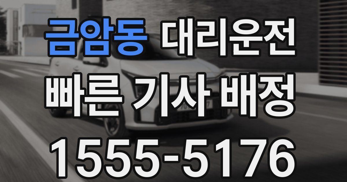 일일대리기사