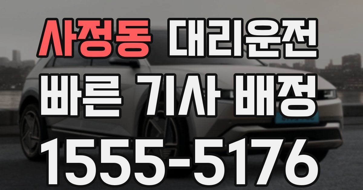 일일대리기사
