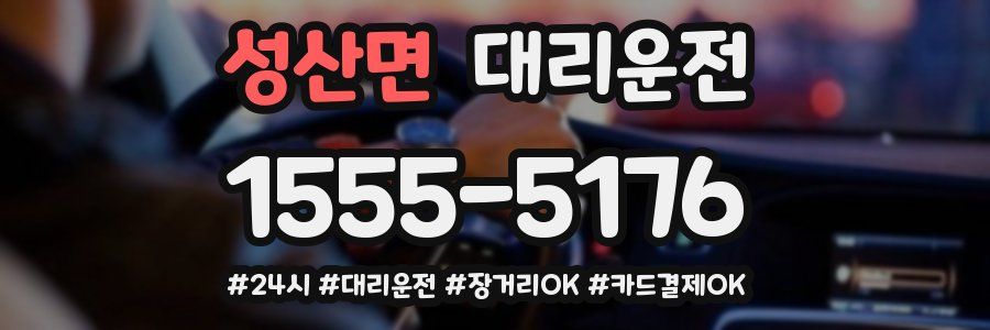 성산면 대리운전