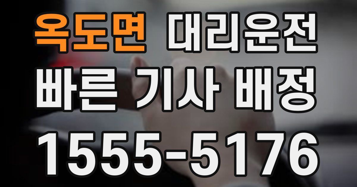 일일대리기사
