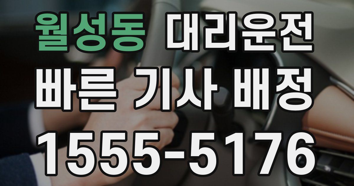 일일대리기사