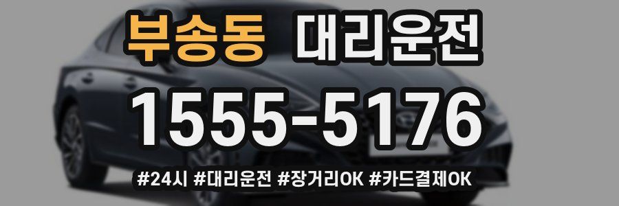 부송동 대리운전