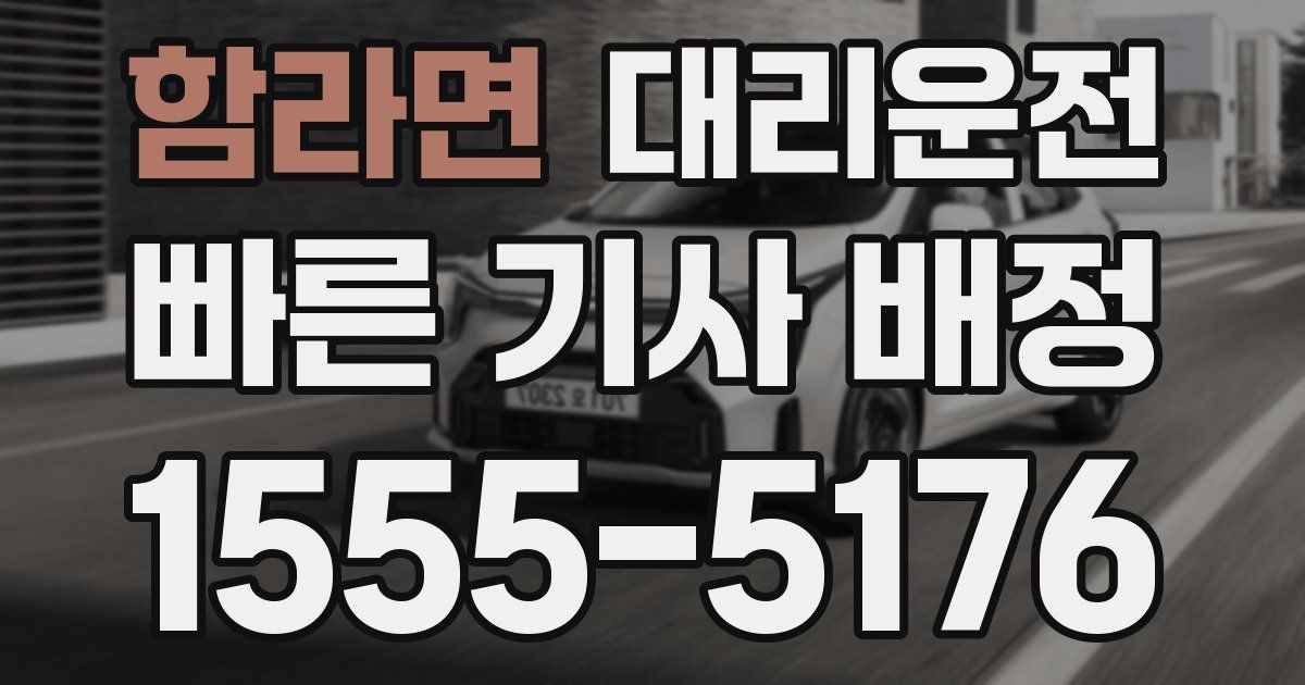 일일대리기사