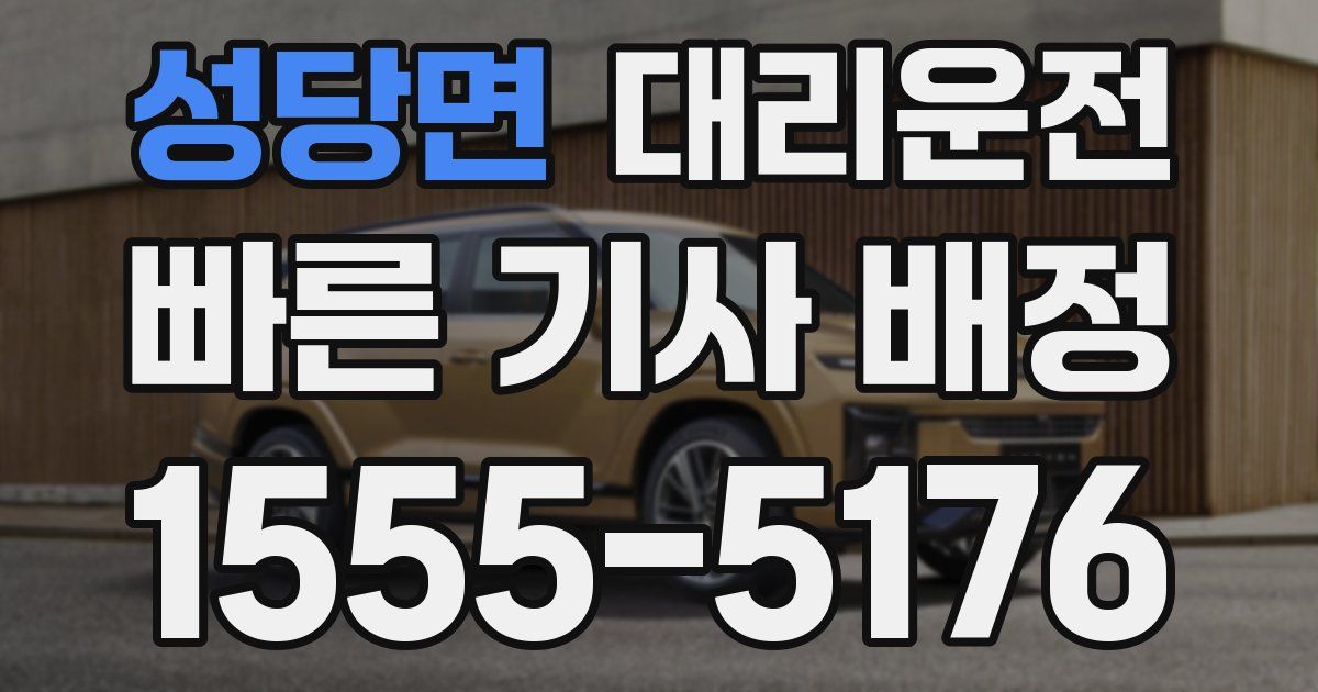 일일대리기사