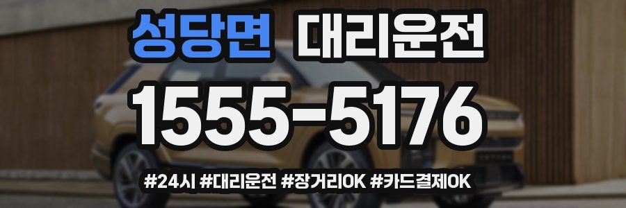 성당면 대리운전