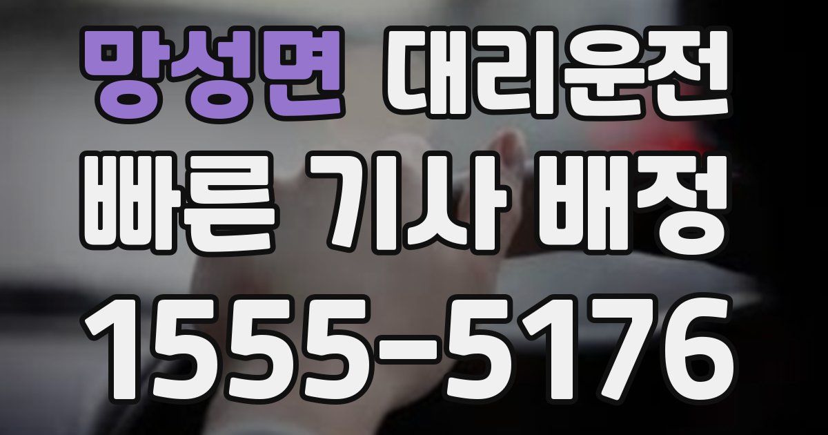 일일대리기사