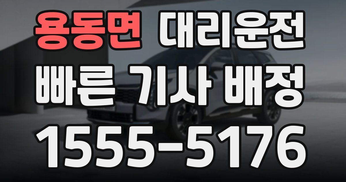 일일대리기사