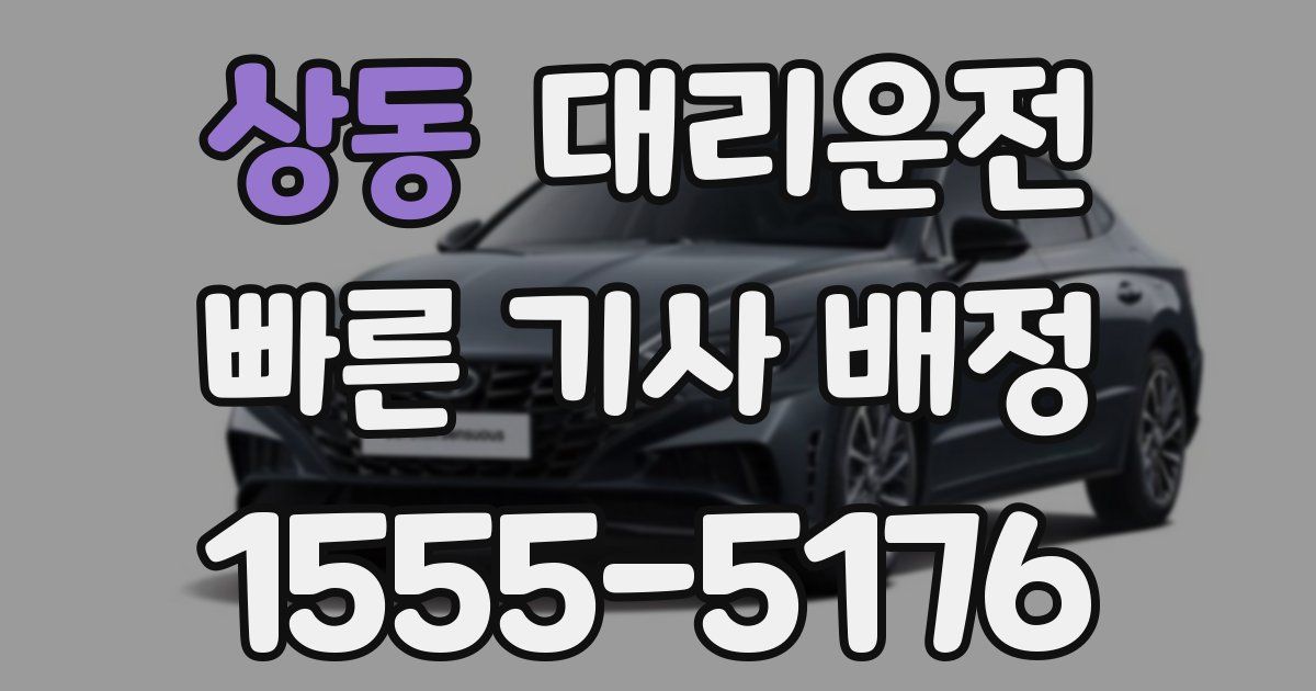 일일대리기사