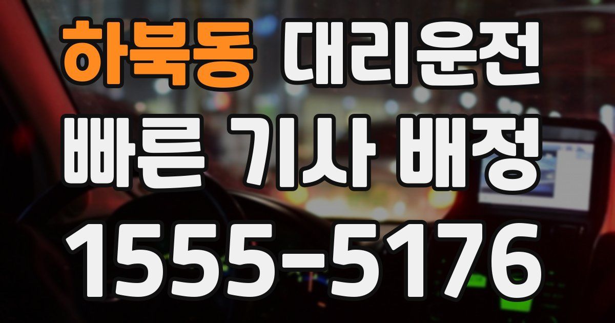 일일대리기사