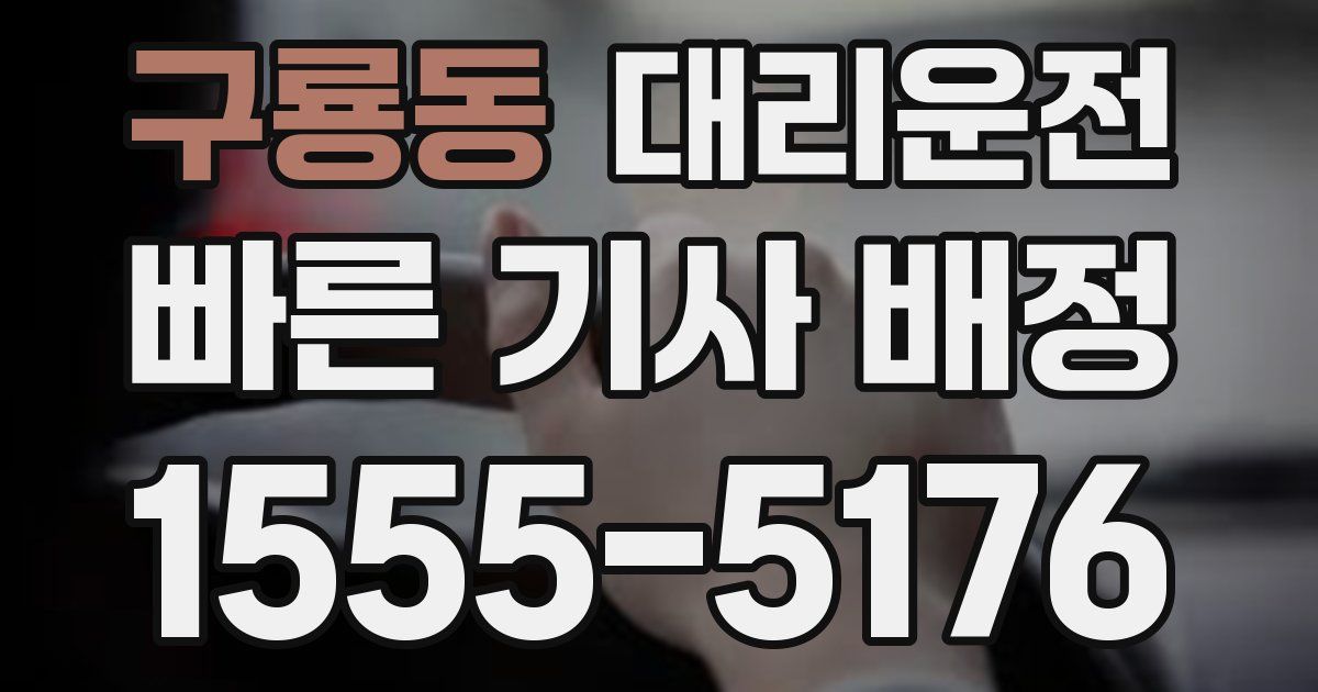 일일대리기사