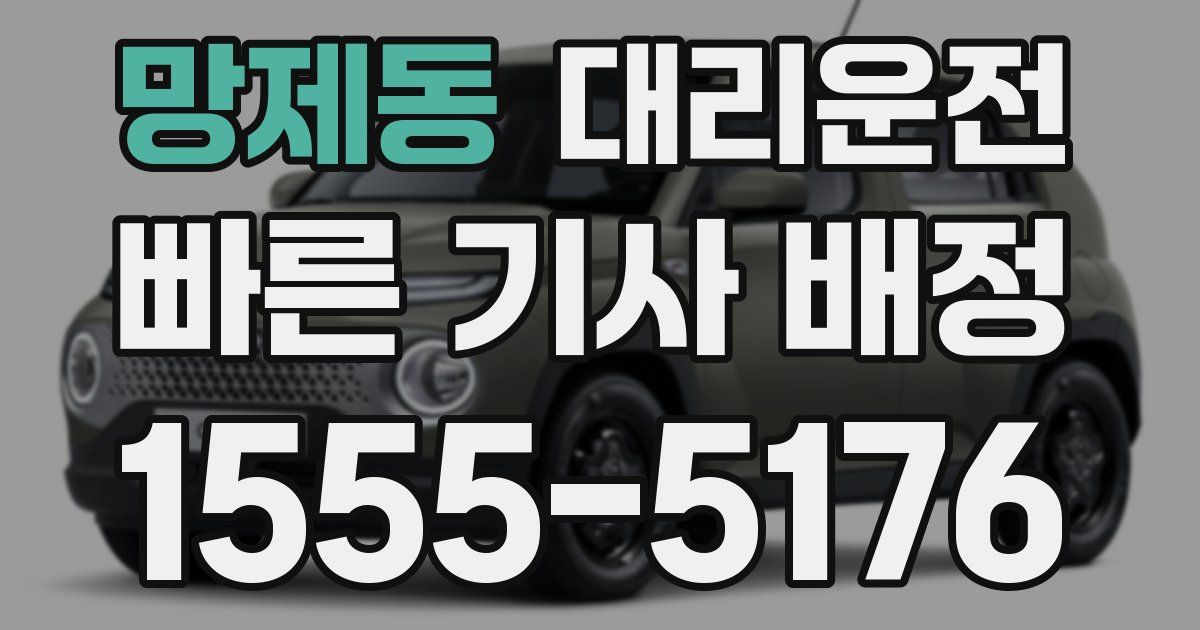 일일대리기사
