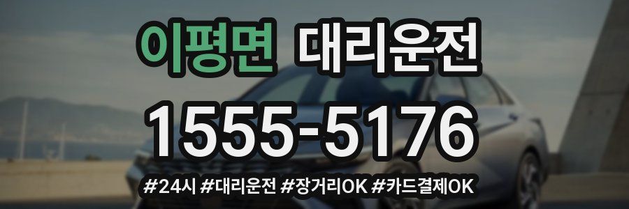 이평면 대리운전