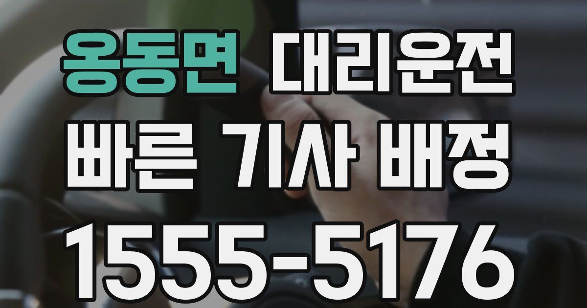 일일대리기사