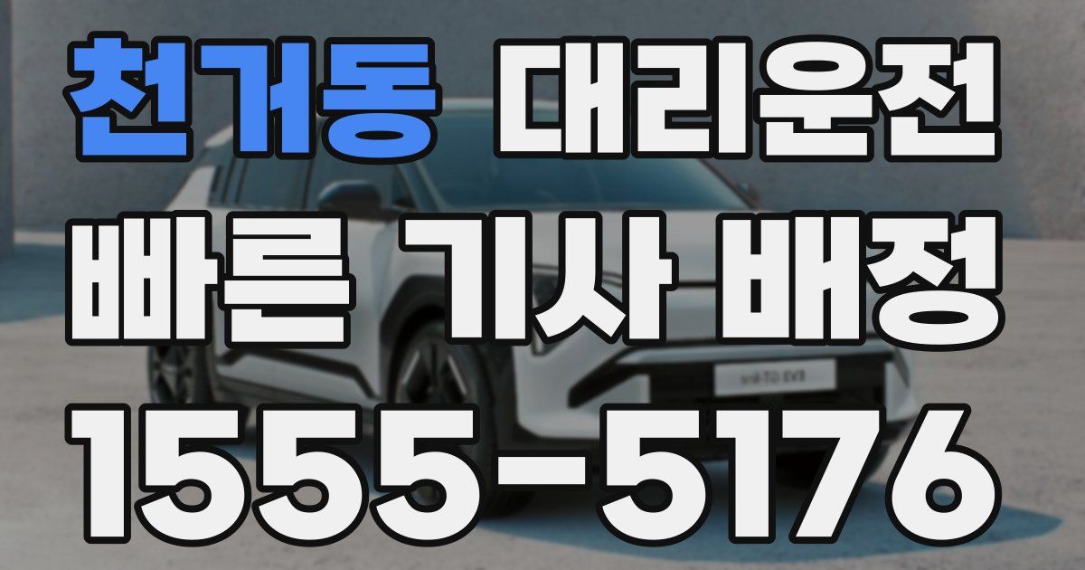 일일대리기사
