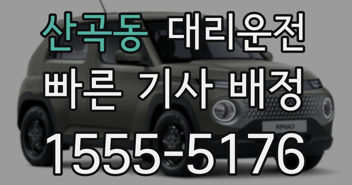 일일대리기사
