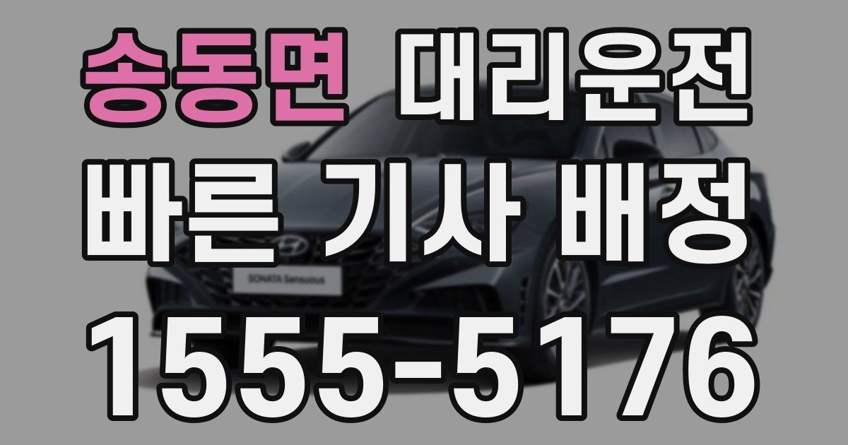 일일대리기사