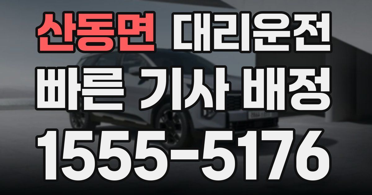 일일대리기사