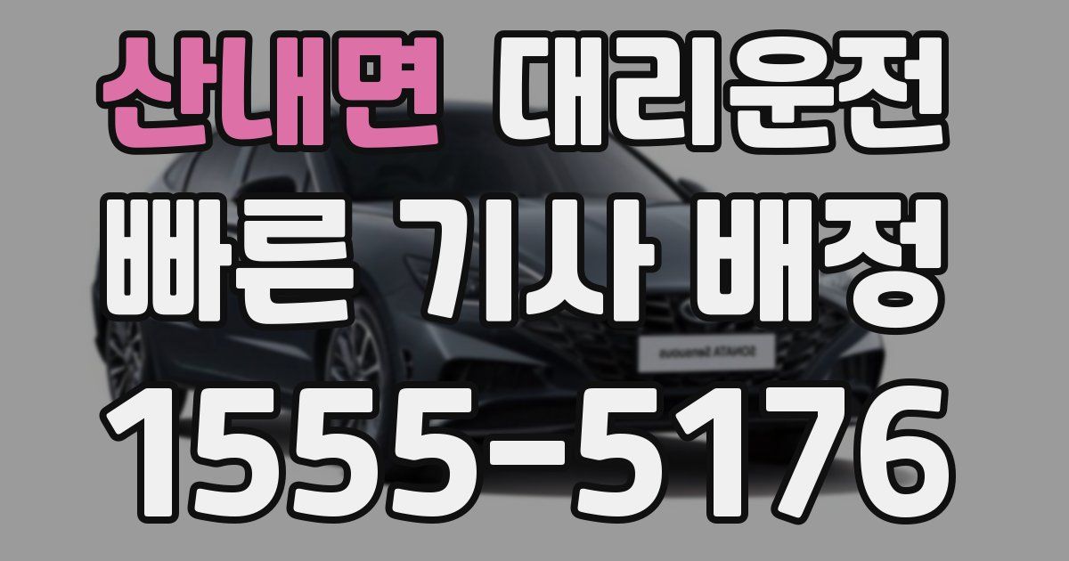 일일대리기사
