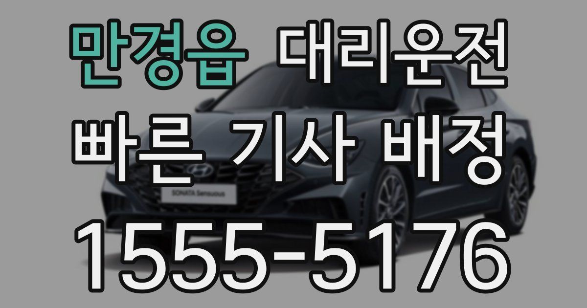 일일대리기사