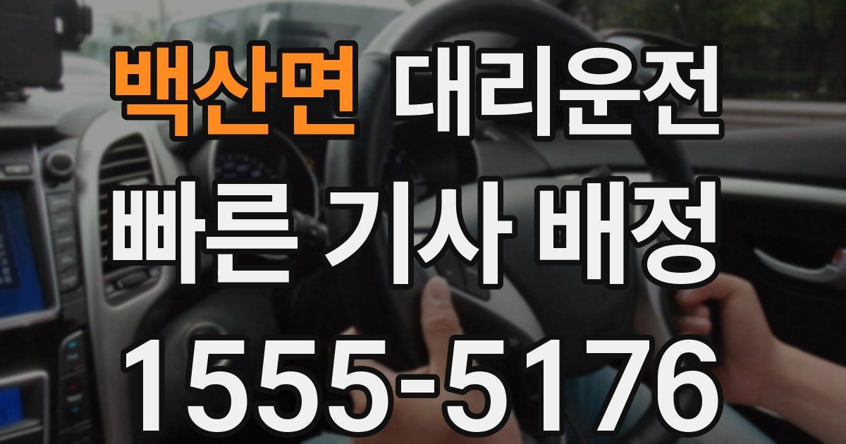 일일대리기사