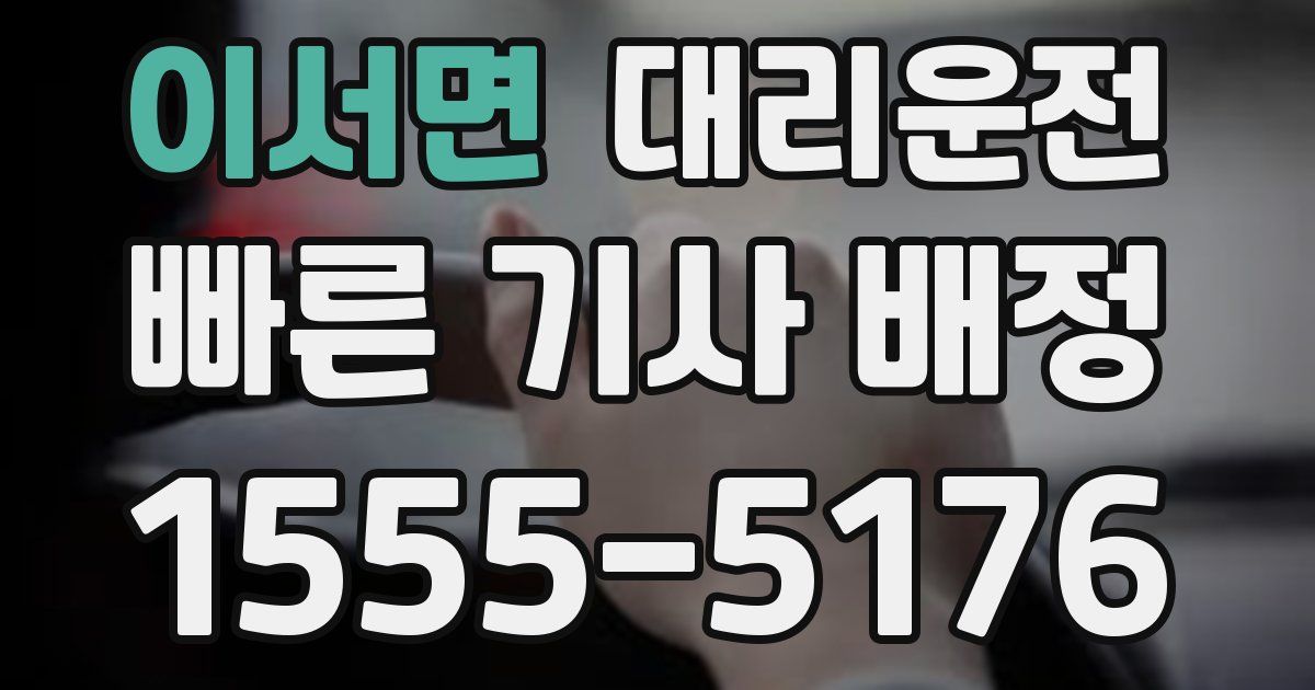 일일대리기사