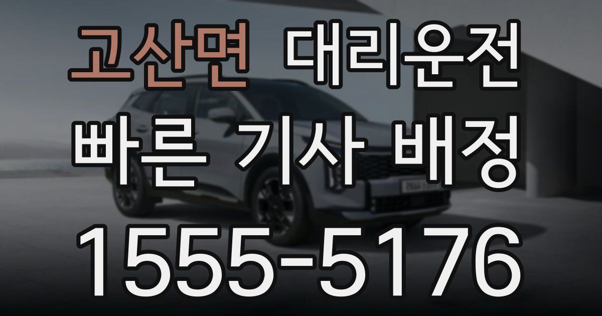 일일대리기사