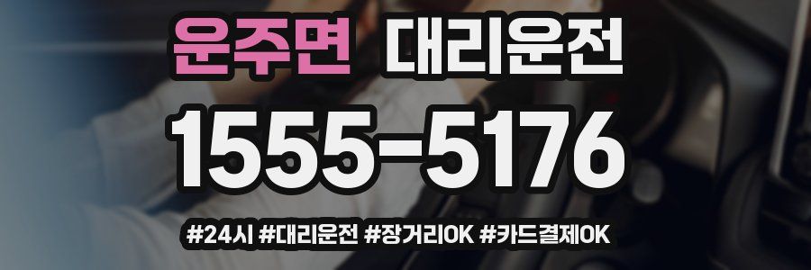 운주면 대리운전