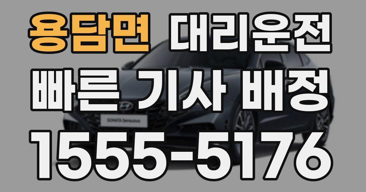 일일대리기사