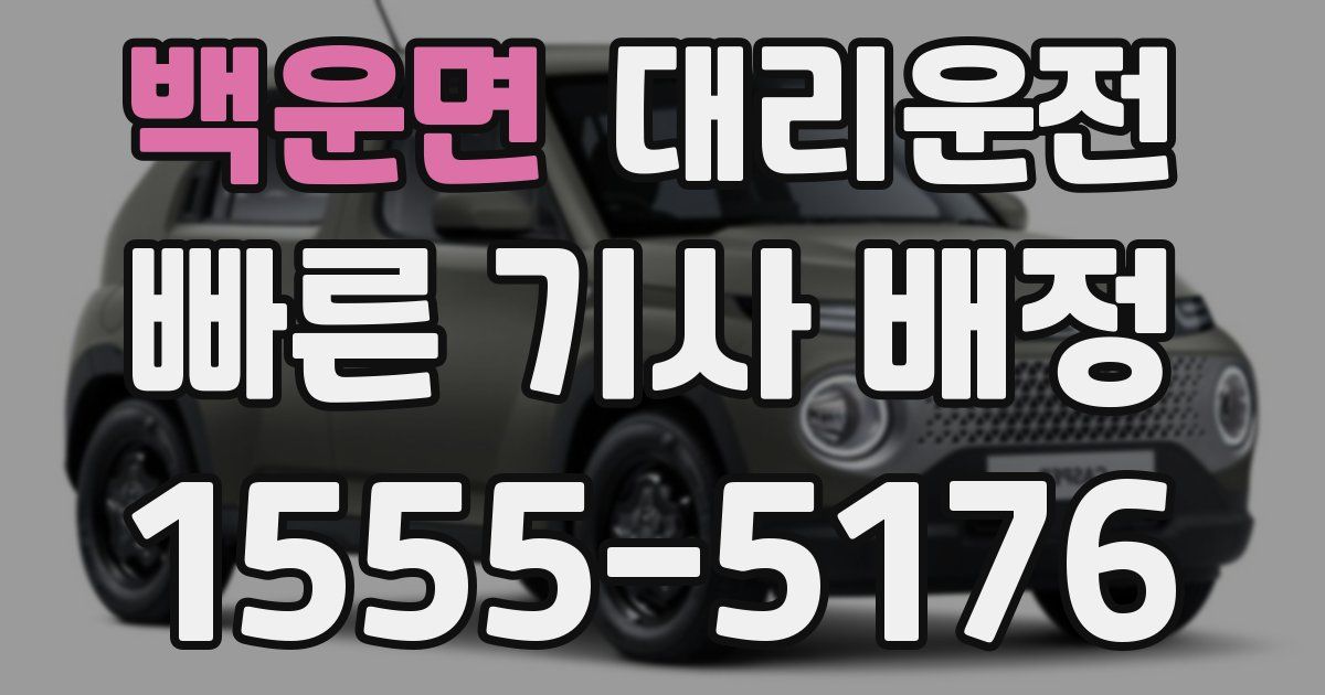 일일대리기사