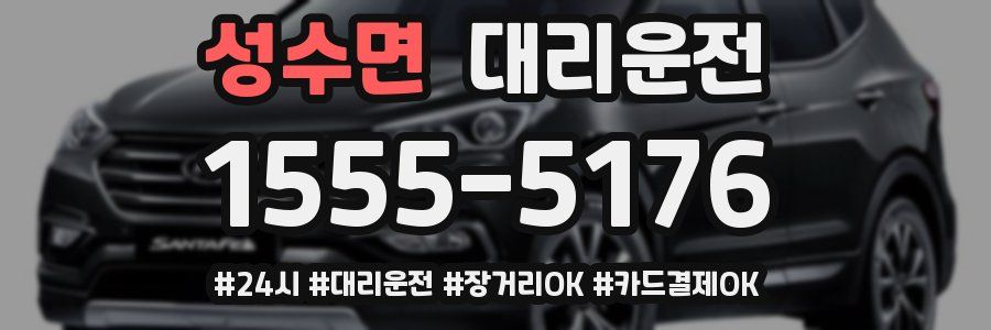 성수면 대리운전