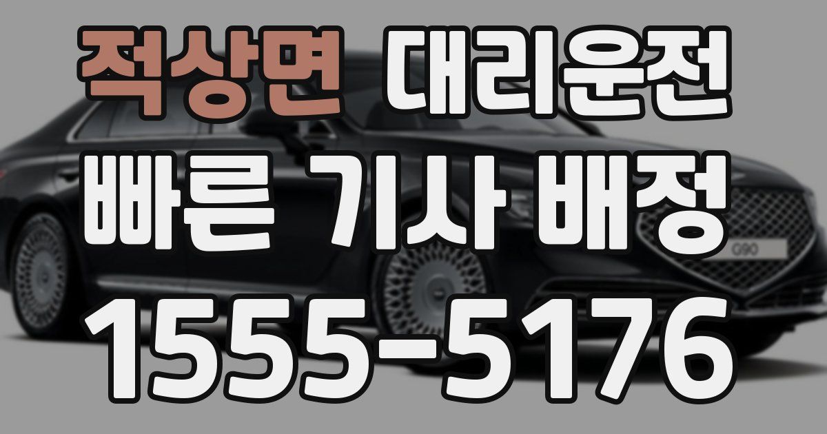 일일대리기사