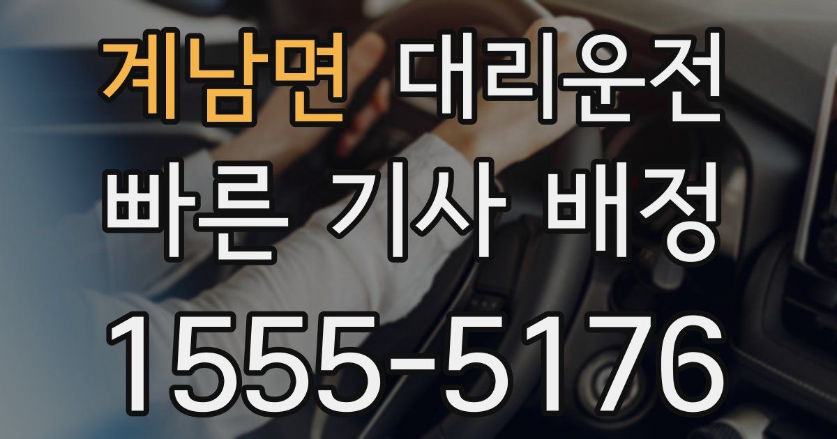 일일대리기사