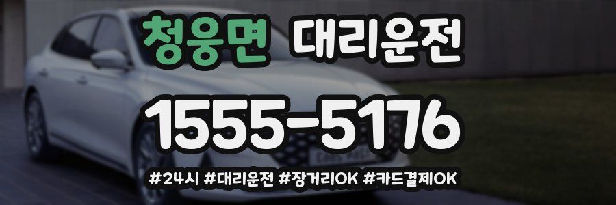 청웅면 대리운전