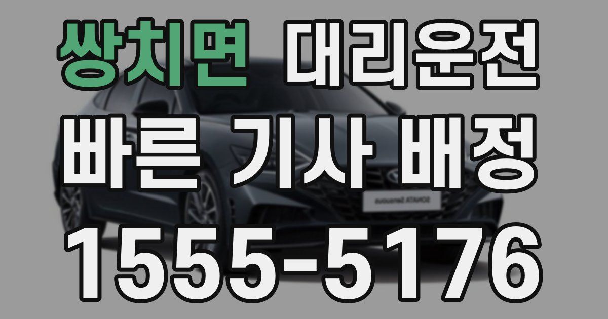 일일대리기사