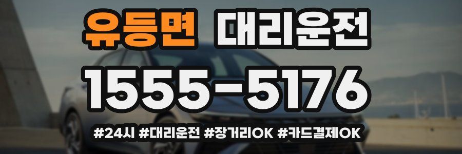 유등면 대리운전