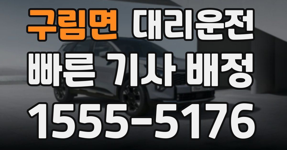 일일대리기사