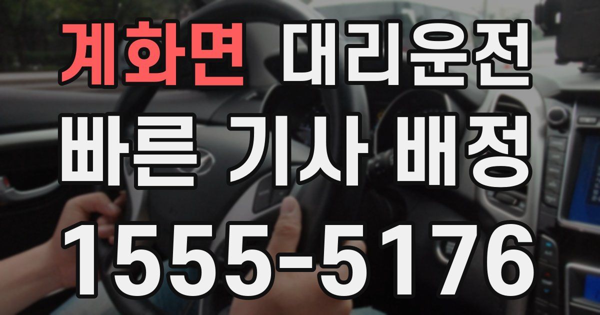 일일대리기사