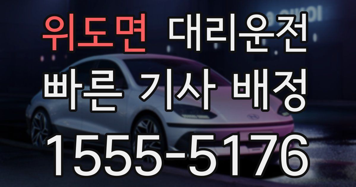 일일대리기사