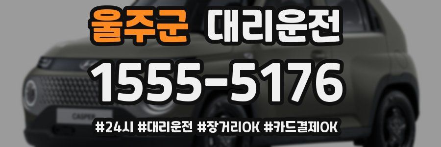 울주군 대리운전