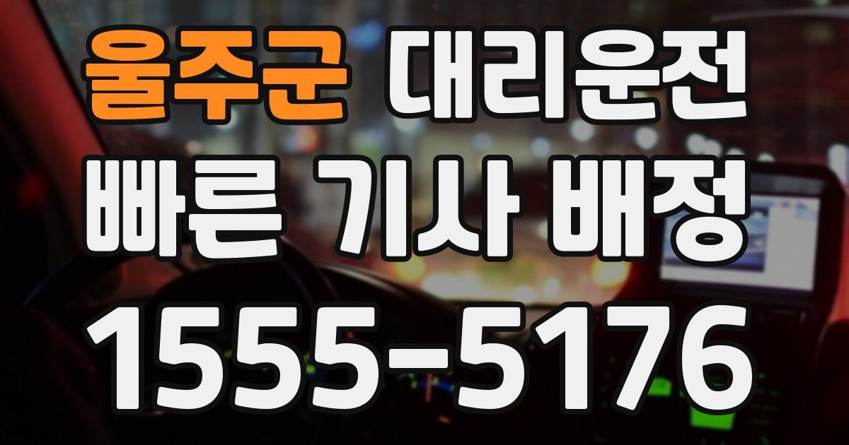일일대리기사