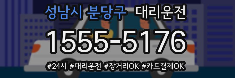 성남시 분당구 대리운전